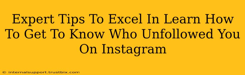 Expert Tips To Excel In Learn How To Get To Know Who Unfollowed You On Instagram