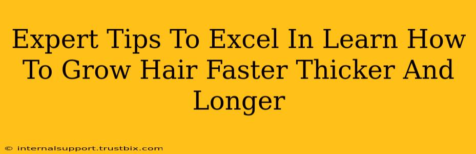 Expert Tips To Excel In Learn How To Grow Hair Faster Thicker And Longer