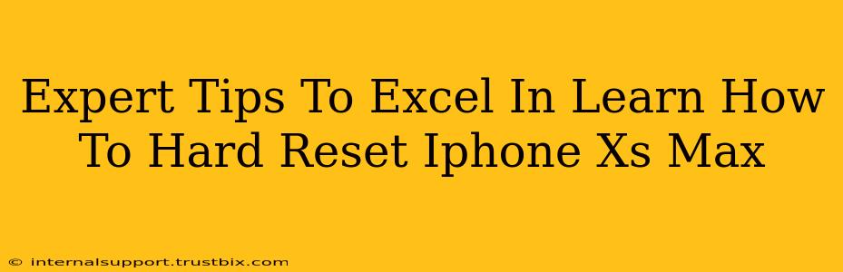 Expert Tips To Excel In Learn How To Hard Reset Iphone Xs Max