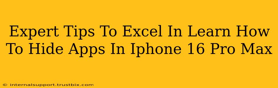 Expert Tips To Excel In Learn How To Hide Apps In Iphone 16 Pro Max