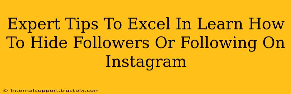 Expert Tips To Excel In Learn How To Hide Followers Or Following On Instagram