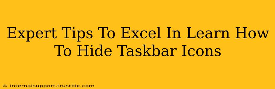 Expert Tips To Excel In Learn How To Hide Taskbar Icons