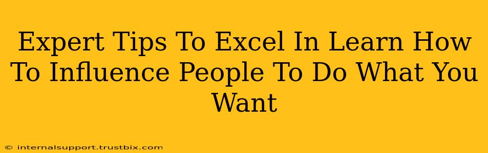 Expert Tips To Excel In Learn How To Influence People To Do What You Want