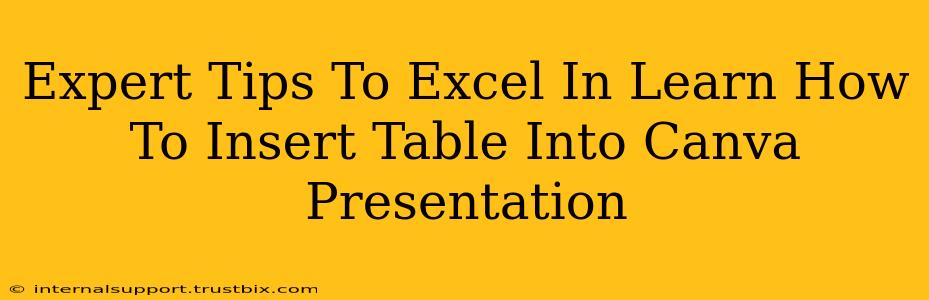 Expert Tips To Excel In Learn How To Insert Table Into Canva Presentation