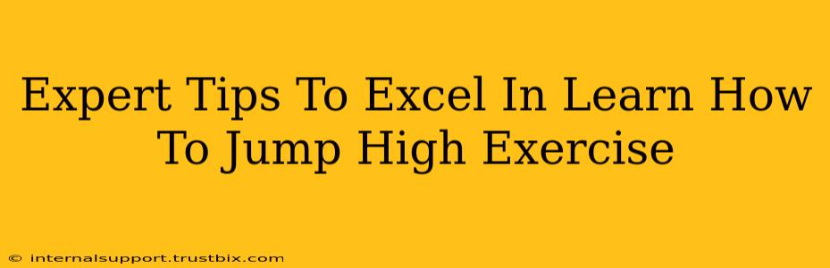 Expert Tips To Excel In Learn How To Jump High Exercise