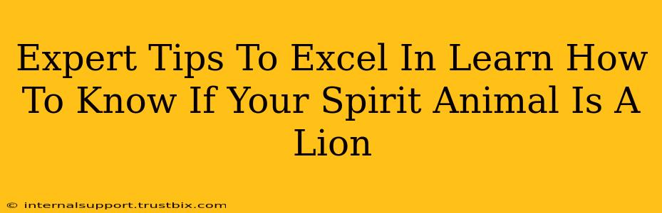 Expert Tips To Excel In Learn How To Know If Your Spirit Animal Is A Lion