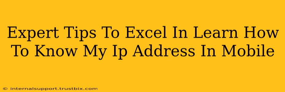 Expert Tips To Excel In Learn How To Know My Ip Address In Mobile