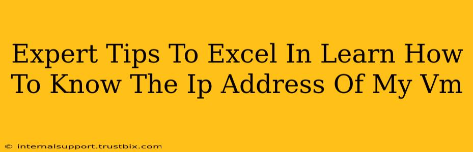 Expert Tips To Excel In Learn How To Know The Ip Address Of My Vm