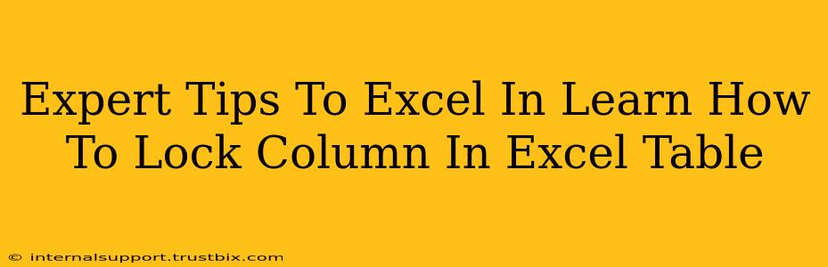 Expert Tips To Excel In Learn How To Lock Column In Excel Table