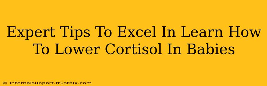 Expert Tips To Excel In Learn How To Lower Cortisol In Babies