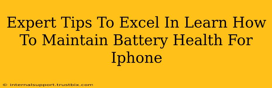 Expert Tips To Excel In Learn How To Maintain Battery Health For Iphone