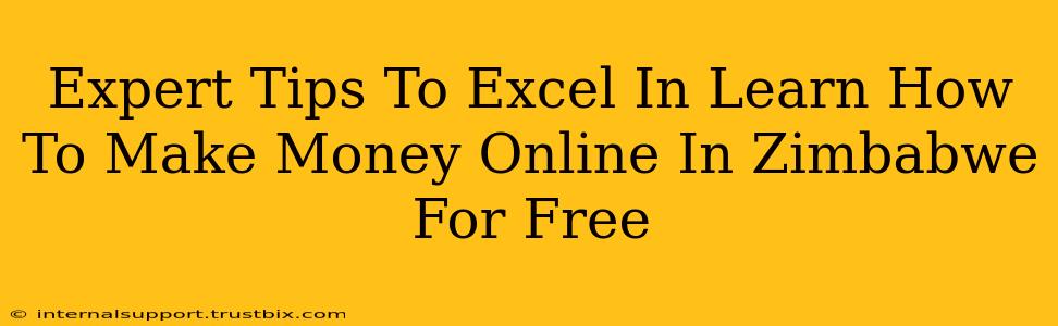 Expert Tips To Excel In Learn How To Make Money Online In Zimbabwe For Free