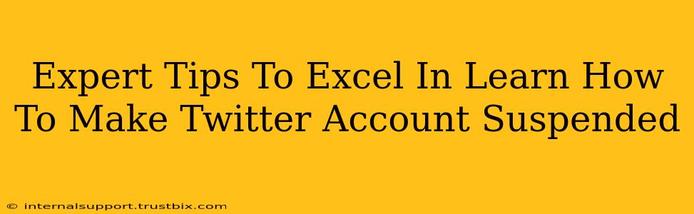 Expert Tips To Excel In Learn How To Make Twitter Account Suspended