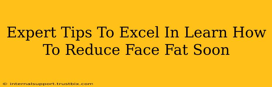 Expert Tips To Excel In Learn How To Reduce Face Fat Soon