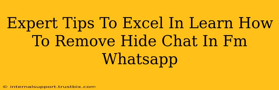 Expert Tips To Excel In Learn How To Remove Hide Chat In Fm Whatsapp