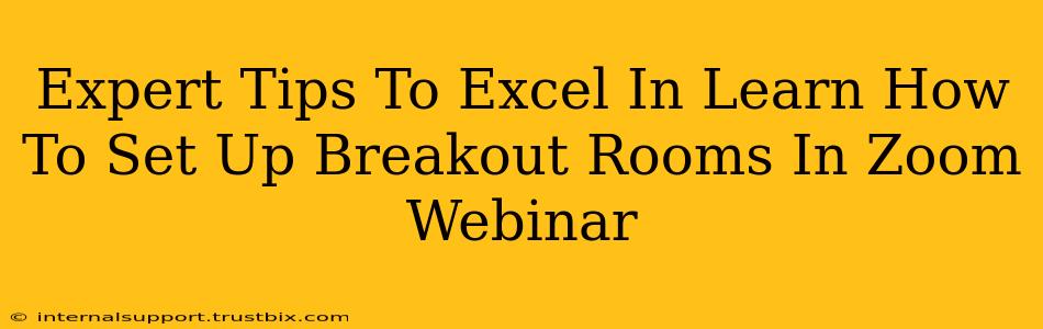 Expert Tips To Excel In Learn How To Set Up Breakout Rooms In Zoom Webinar