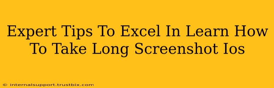 Expert Tips To Excel In Learn How To Take Long Screenshot Ios