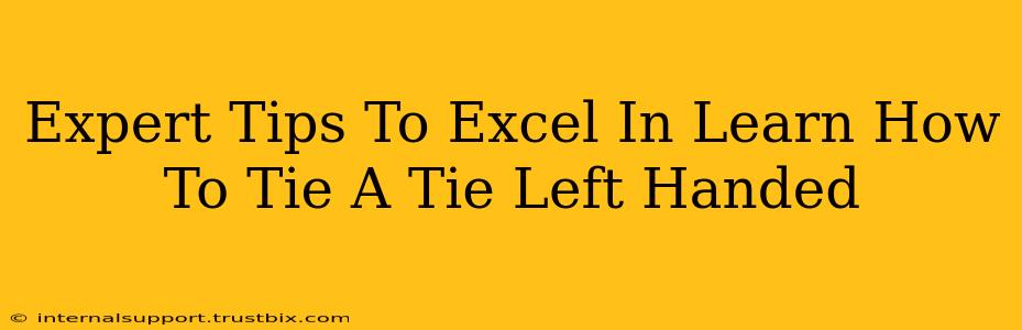 Expert Tips To Excel In Learn How To Tie A Tie Left Handed