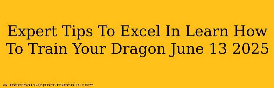 Expert Tips To Excel In Learn How To Train Your Dragon June 13 2025