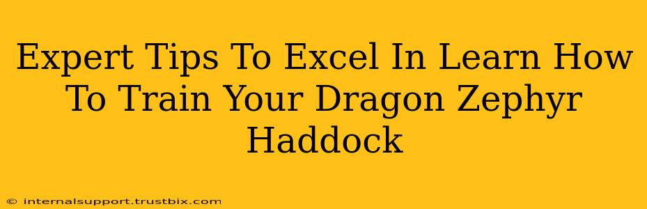 Expert Tips To Excel In Learn How To Train Your Dragon Zephyr Haddock