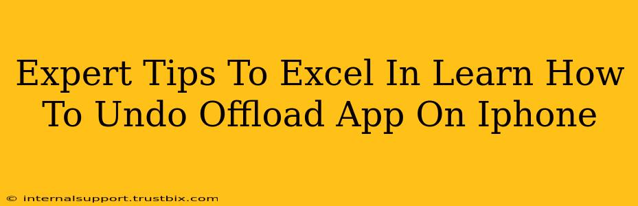 Expert Tips To Excel In Learn How To Undo Offload App On Iphone