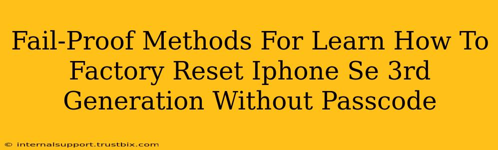 Fail-Proof Methods For Learn How To Factory Reset Iphone Se 3rd Generation Without Passcode