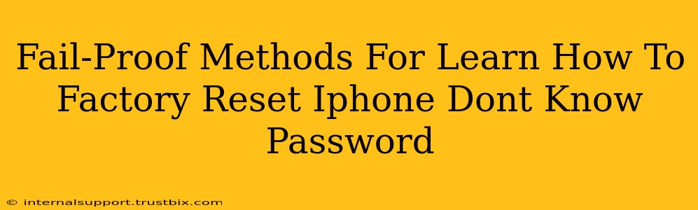 Fail-Proof Methods For Learn How To Factory Reset Iphone Dont Know Password