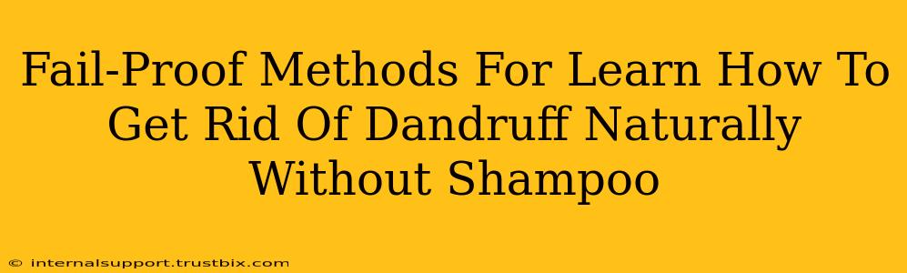 Fail-Proof Methods For Learn How To Get Rid Of Dandruff Naturally Without Shampoo