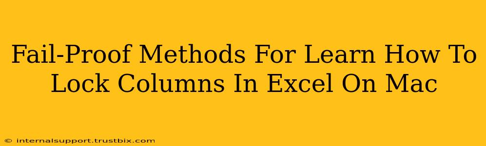 Fail-Proof Methods For Learn How To Lock Columns In Excel On Mac