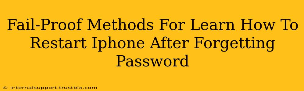 Fail-Proof Methods For Learn How To Restart Iphone After Forgetting Password