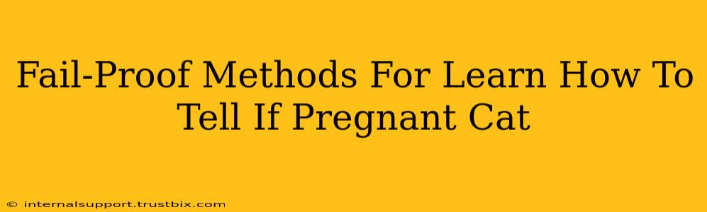 Fail-Proof Methods For Learn How To Tell If Pregnant Cat