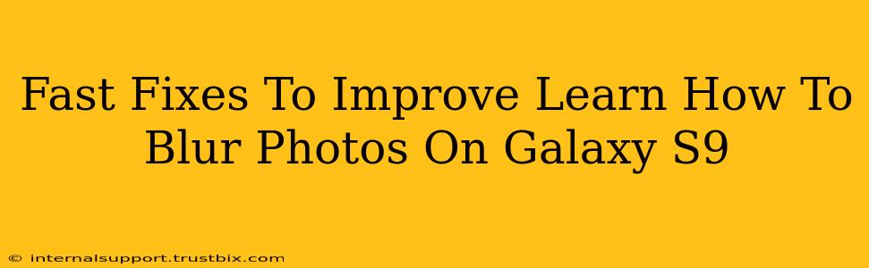 Fast Fixes To Improve Learn How To Blur Photos On Galaxy S9