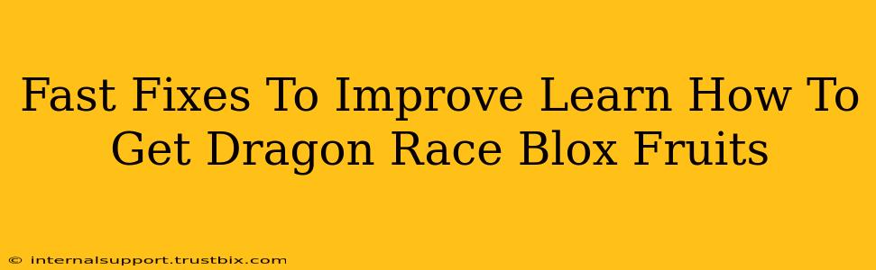 Fast Fixes To Improve Learn How To Get Dragon Race Blox Fruits