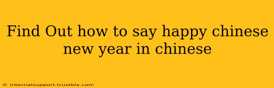 Find Out how to say happy chinese new year in chinese