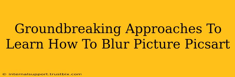 Groundbreaking Approaches To Learn How To Blur Picture Picsart