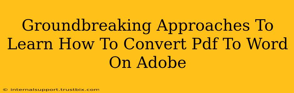 Groundbreaking Approaches To Learn How To Convert Pdf To Word On Adobe