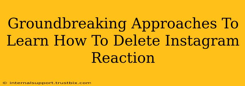 Groundbreaking Approaches To Learn How To Delete Instagram Reaction