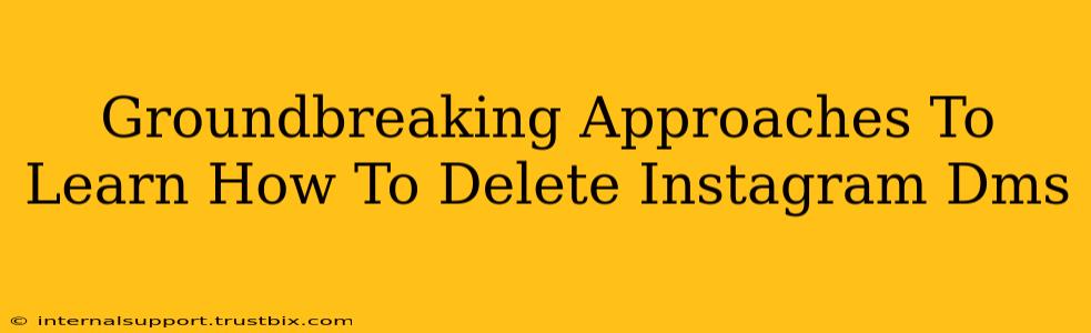 Groundbreaking Approaches To Learn How To Delete Instagram Dms