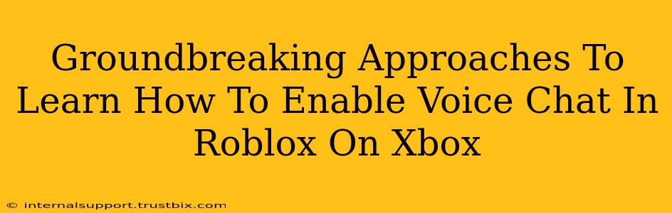 Groundbreaking Approaches To Learn How To Enable Voice Chat In Roblox On Xbox