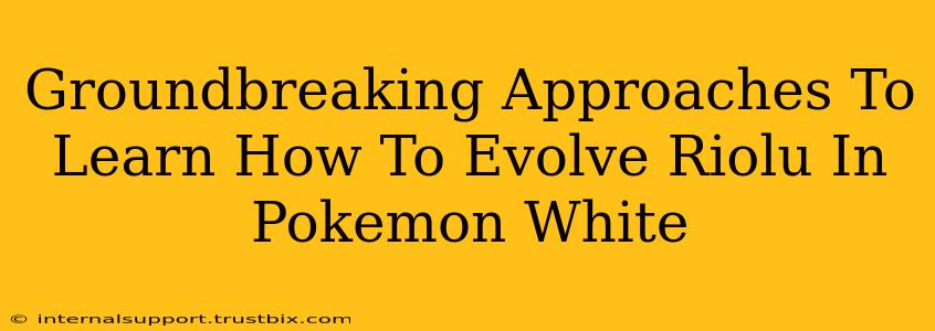 Groundbreaking Approaches To Learn How To Evolve Riolu In Pokemon White