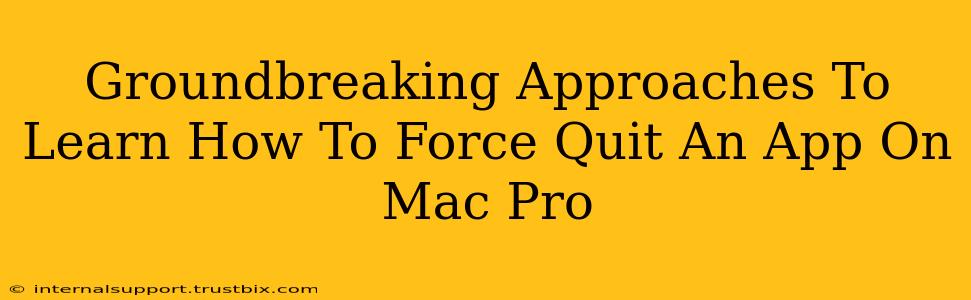 Groundbreaking Approaches To Learn How To Force Quit An App On Mac Pro