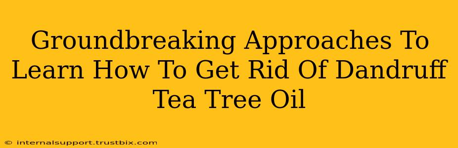 Groundbreaking Approaches To Learn How To Get Rid Of Dandruff Tea Tree Oil