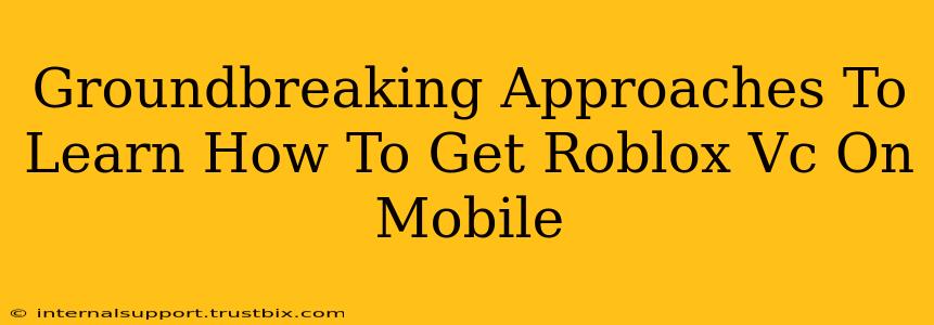 Groundbreaking Approaches To Learn How To Get Roblox Vc On Mobile