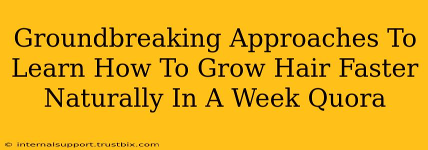 Groundbreaking Approaches To Learn How To Grow Hair Faster Naturally In A Week Quora