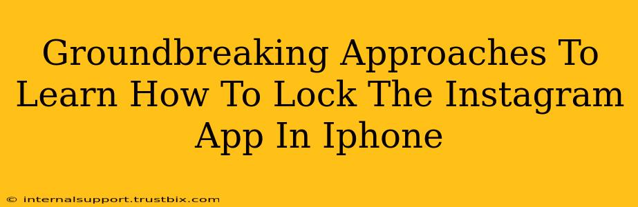 Groundbreaking Approaches To Learn How To Lock The Instagram App In Iphone