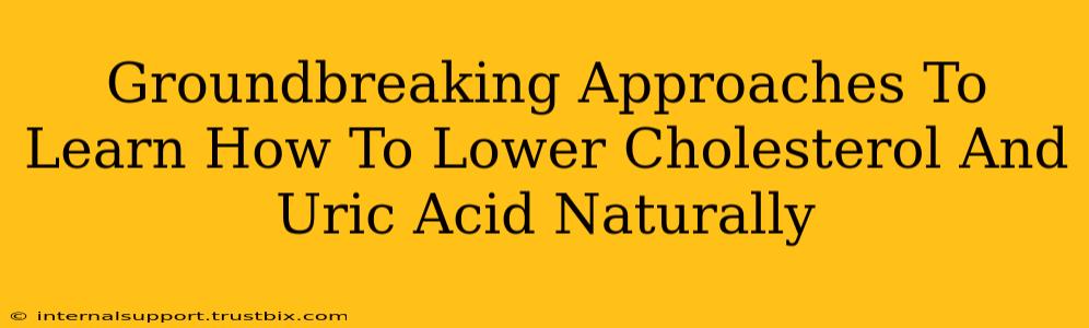 Groundbreaking Approaches To Learn How To Lower Cholesterol And Uric Acid Naturally