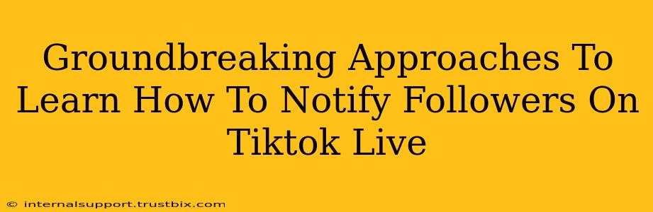 Groundbreaking Approaches To Learn How To Notify Followers On Tiktok Live