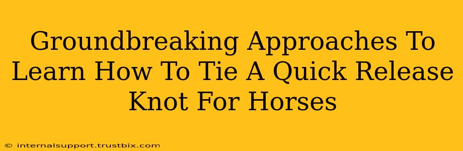 Groundbreaking Approaches To Learn How To Tie A Quick Release Knot For Horses