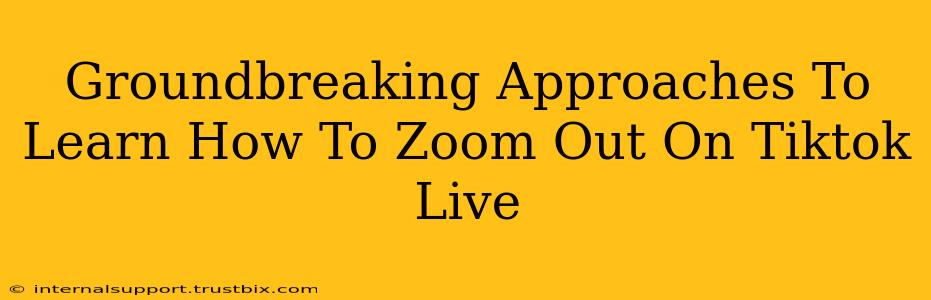 Groundbreaking Approaches To Learn How To Zoom Out On Tiktok Live