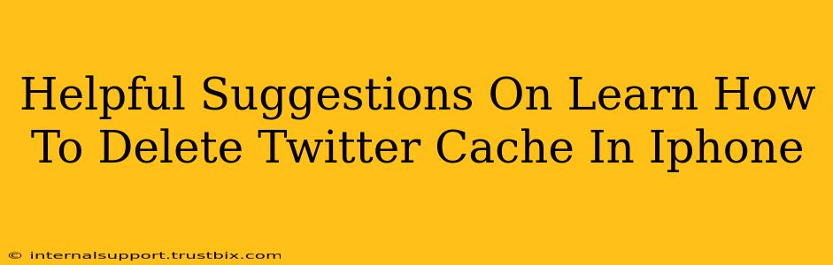 Helpful Suggestions On Learn How To Delete Twitter Cache In Iphone